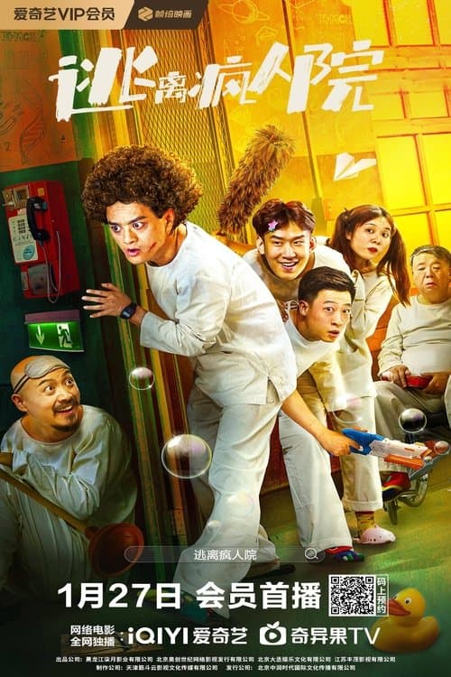 Escaping The Madhouse poster