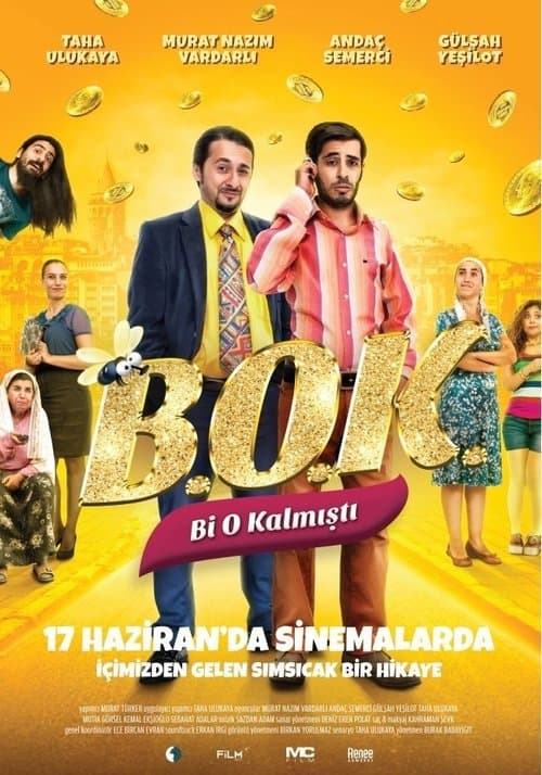 B.O.K.: Bi O Kalmıştı poster