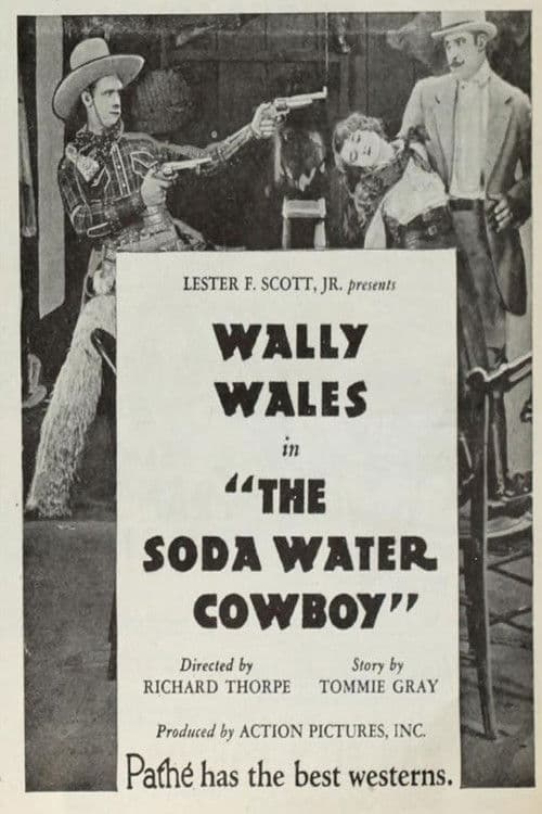 The Soda Water Cowboy poster