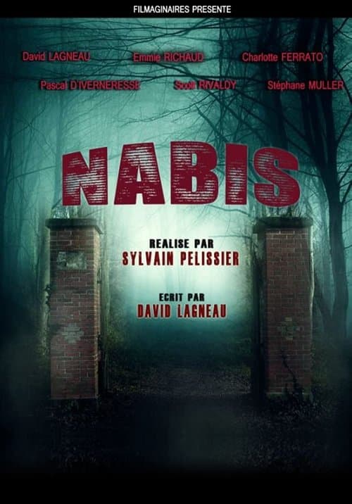 Nabis poster