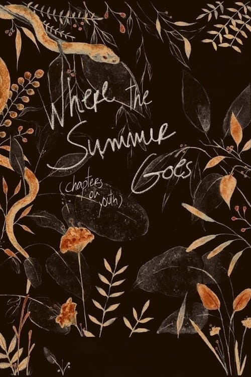 Where the Summer Goes (Chapters on Youth) poster