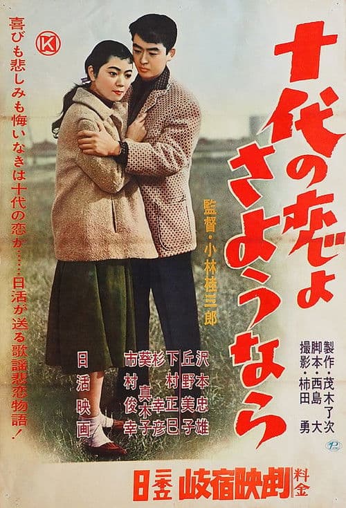 Goodbye Teenage Love poster