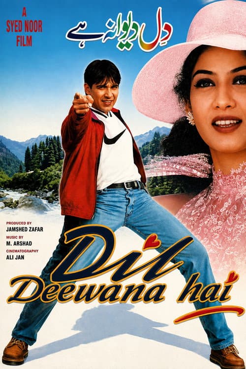 Dil Deewana Hai poster
