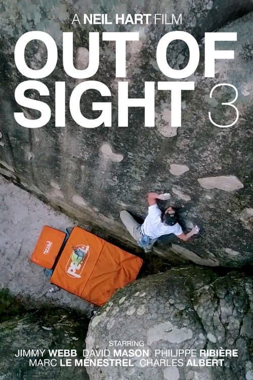 Out of Sight III poster
