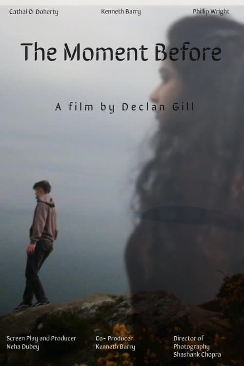 The Moment Before poster