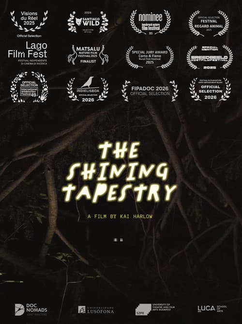 The Shining Tapestry poster