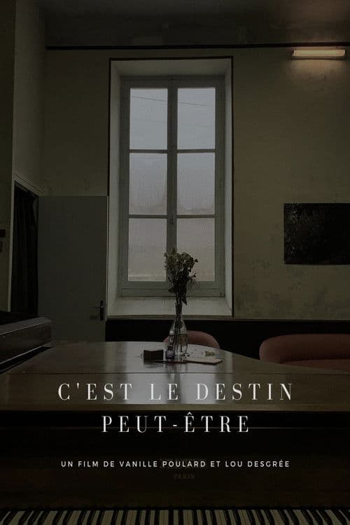 C'est le Destin peut-être poster