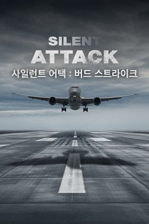 Silent Attack : Bird Strike poster
