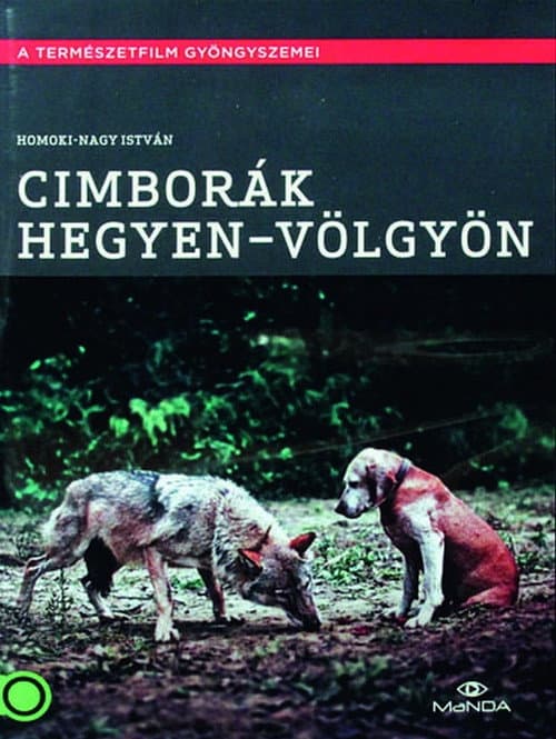 Cimborák - Hegyen-völgyön poster