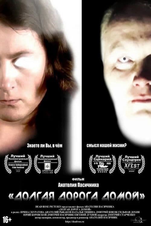 Long Road Home poster