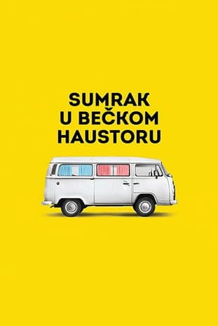 Vienna Hallways poster