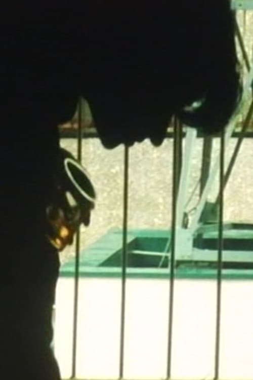 Zetcho: The Acme (Short Version) poster