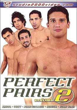 Perfect Pairs 2 poster