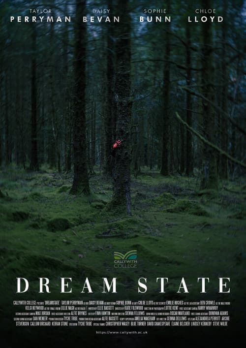 Dream State poster