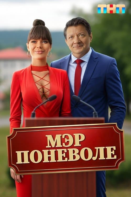 Мэр поневоле poster