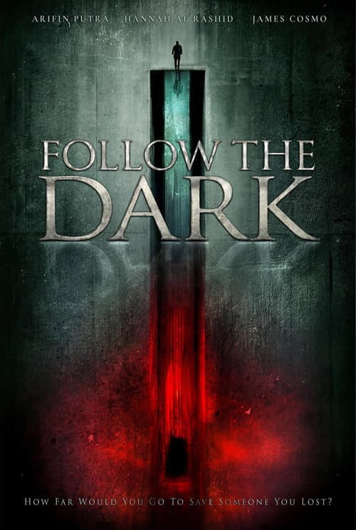 Follow the Dark poster