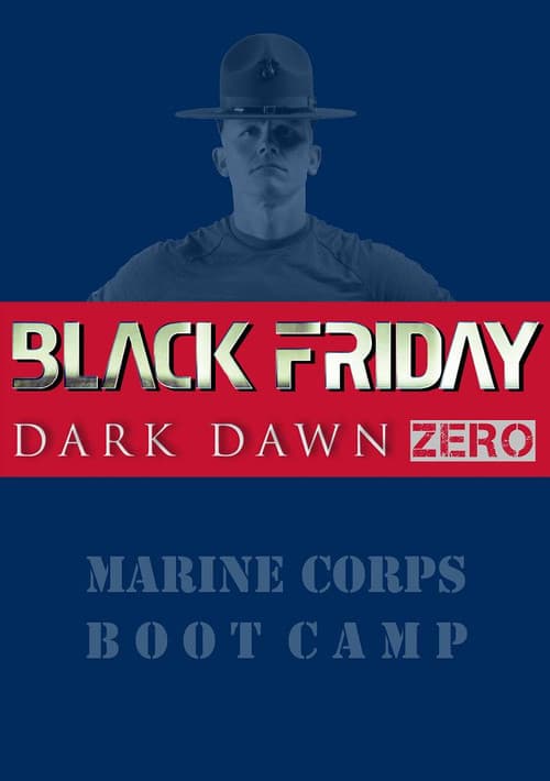 Black Friday: Dark Dawn Zero poster