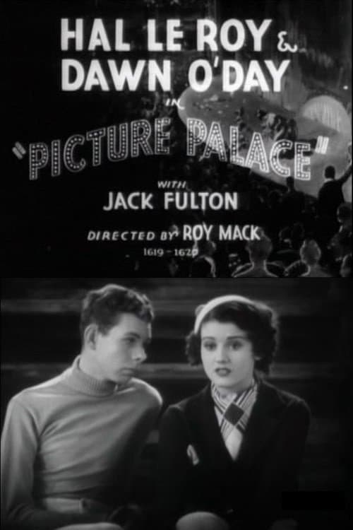 Picture Palace poster