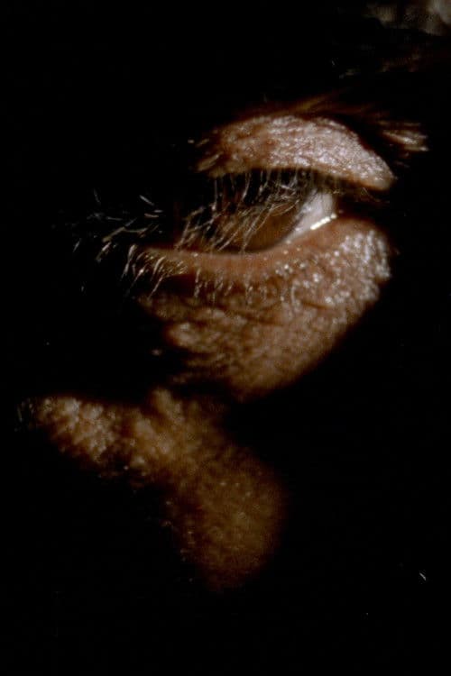 Debil Debil Baldwin Spencer poster