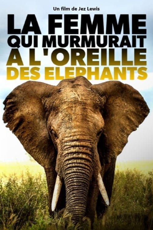 Elephant Mother poster
