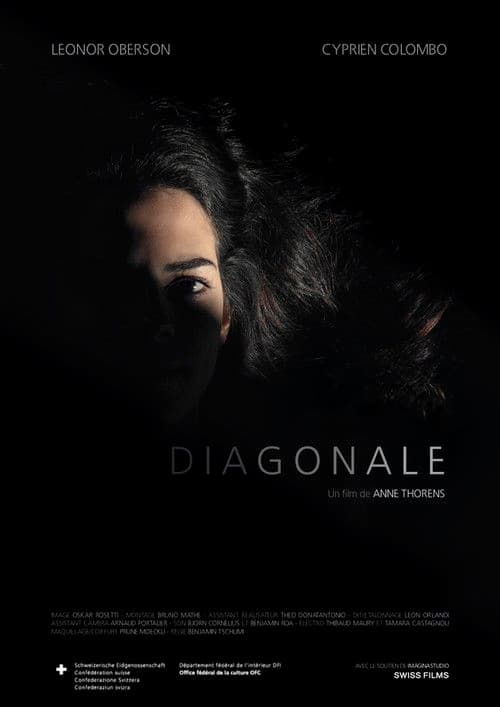 Diagonale poster