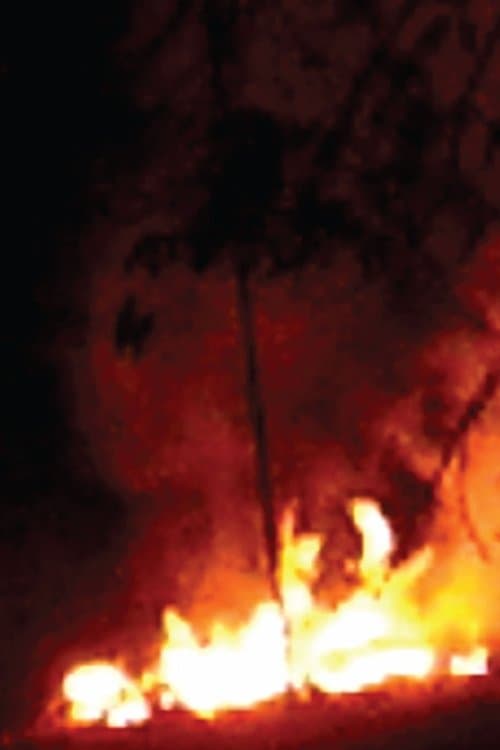 Every Flame Tree is a Burning Island poster