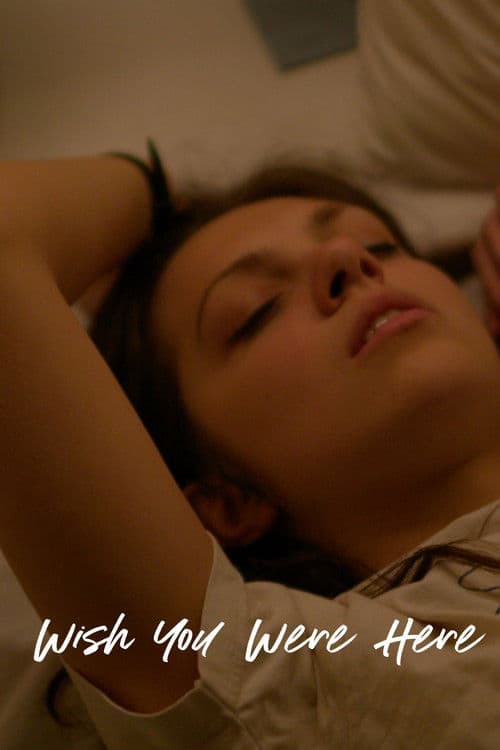Wish You Were Here poster