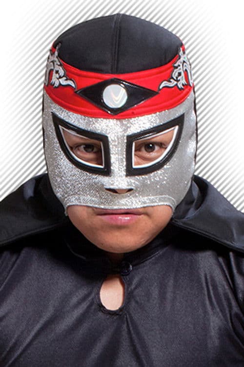 Octagoncito profile photo