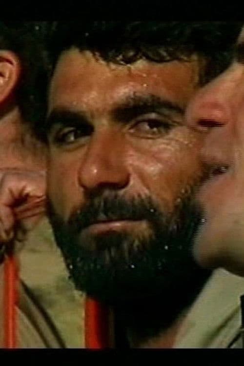 Hêvî Şanoger profile photo