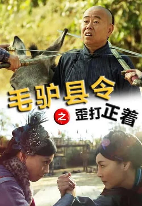 Donkey Magistrate: A Crooked Hit poster