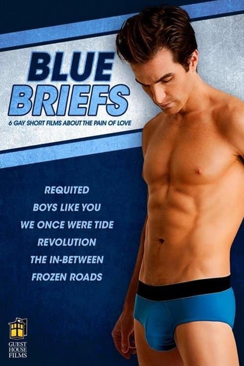 Blue Briefs poster