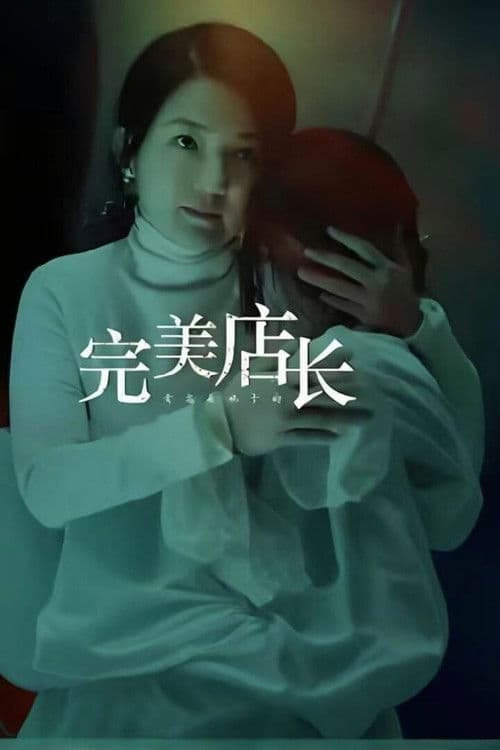 完美店长 poster