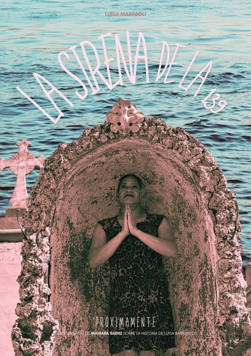 The Mermaid of the 139 poster