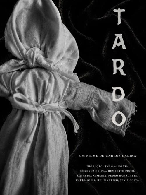 Tardo poster