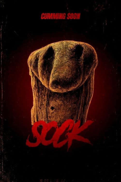 Sock poster