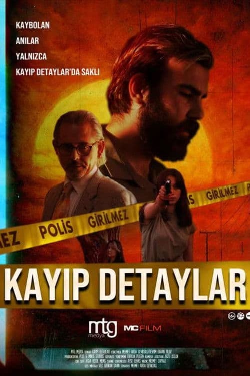 Kayıp Detaylar poster