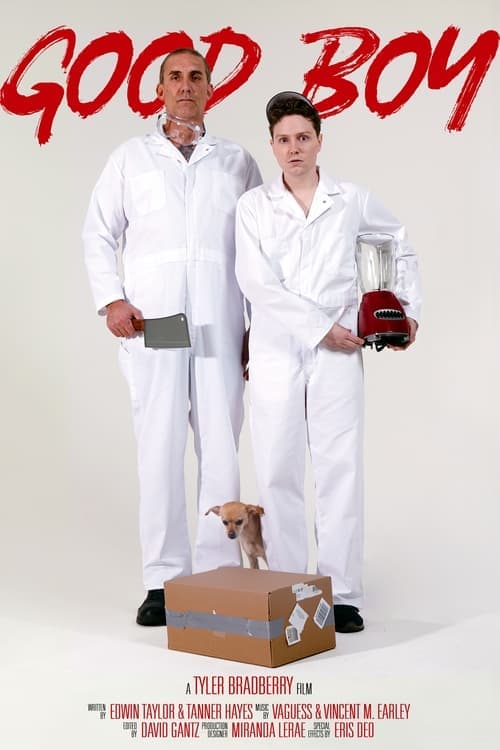 Good Boy poster