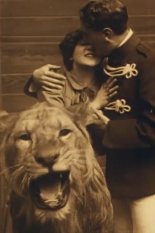 Love Amongst the Lions poster