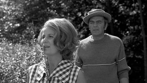 Taková letní noc poster