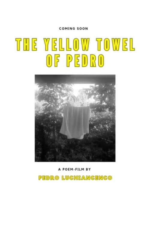 The Yellow Towel of Pedro poster