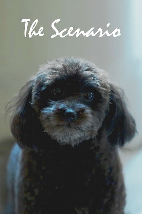 The Scenario poster