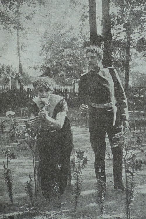 In The Nets of German Espionage poster