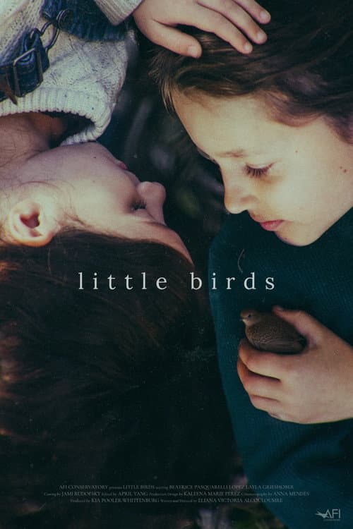 Little Birds poster