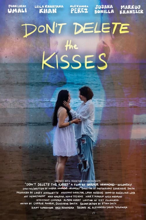 Don't Delete the Kisses poster