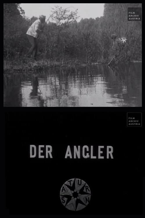 The Angler poster