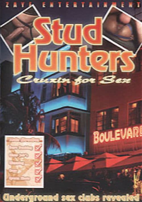 Stud Hunters: Cruisin' for Sex poster