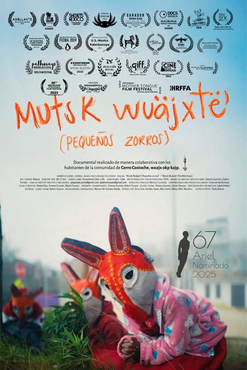 Little Foxes poster