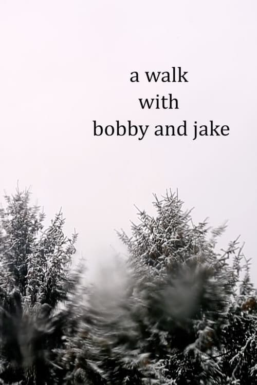 a walk with bobby and jake poster