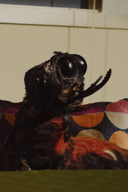 Israel Koite profile photo