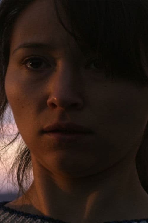 The Last Walk: Greenland poster